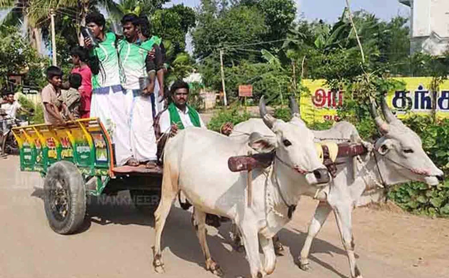 Youths who voted in the cart using pudukkottai district 